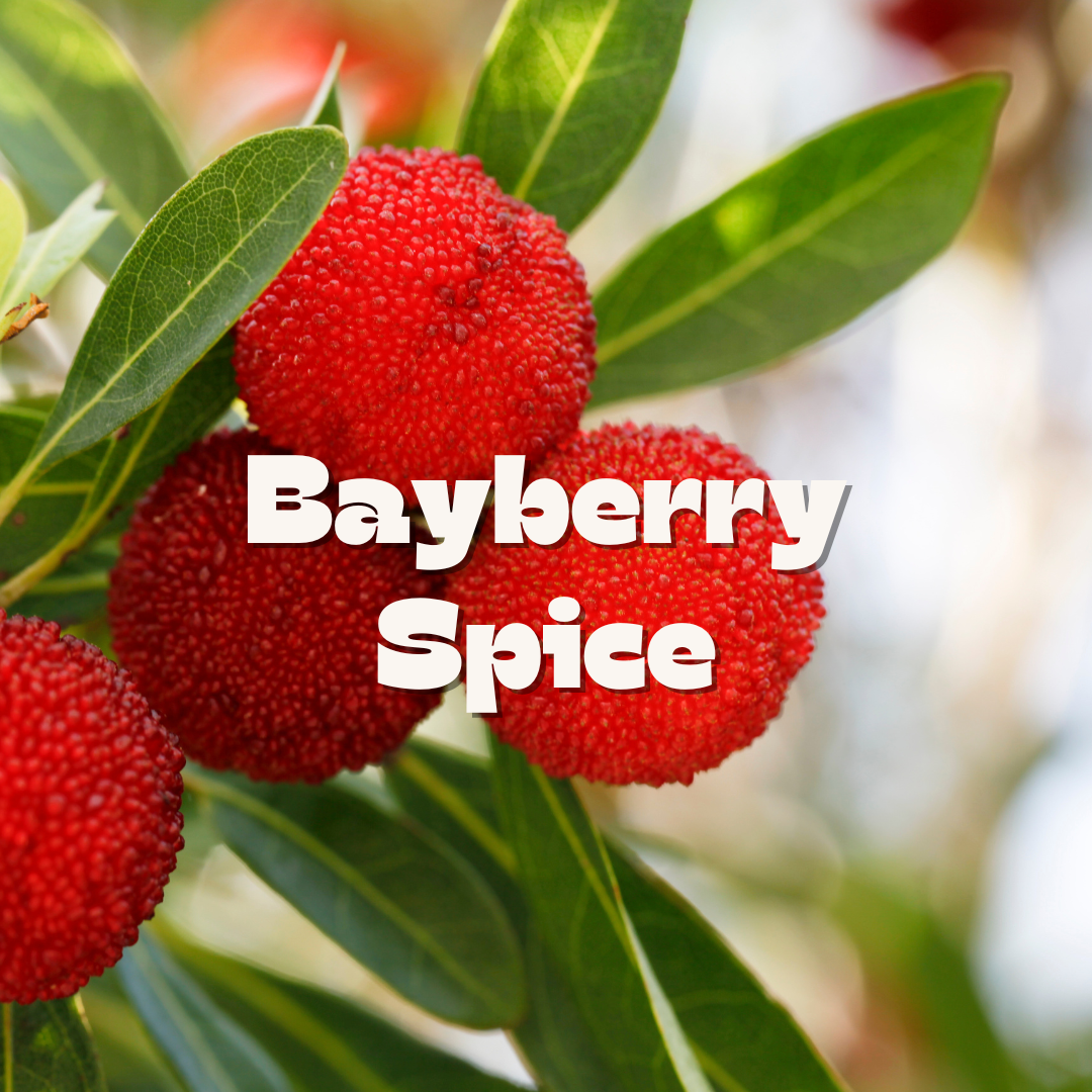 Bay Berry Spice / 10oz candle