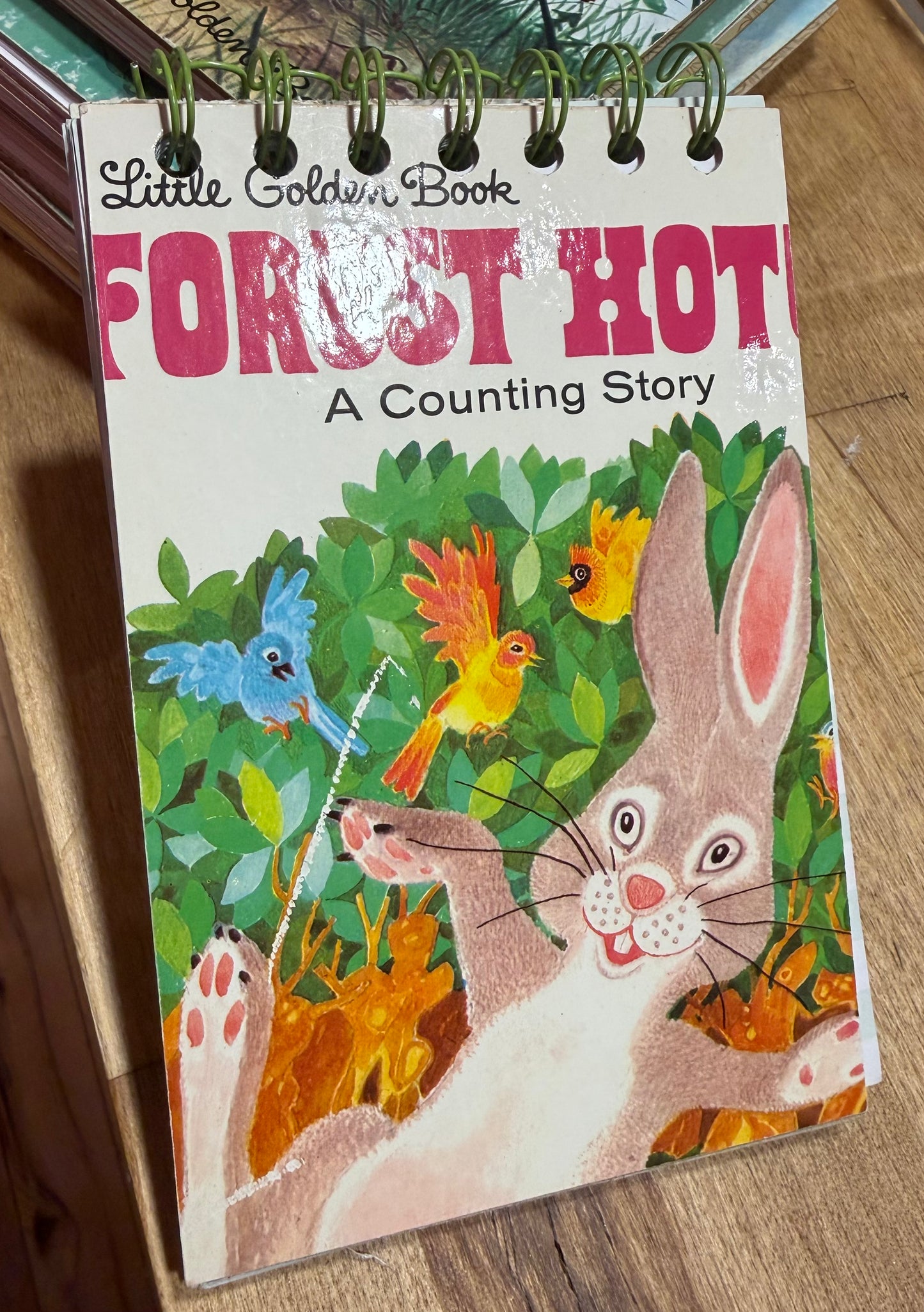 Vintage Book / Notebooks