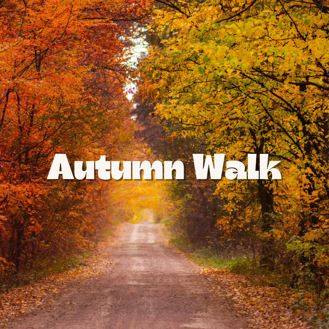 Autumn Walk