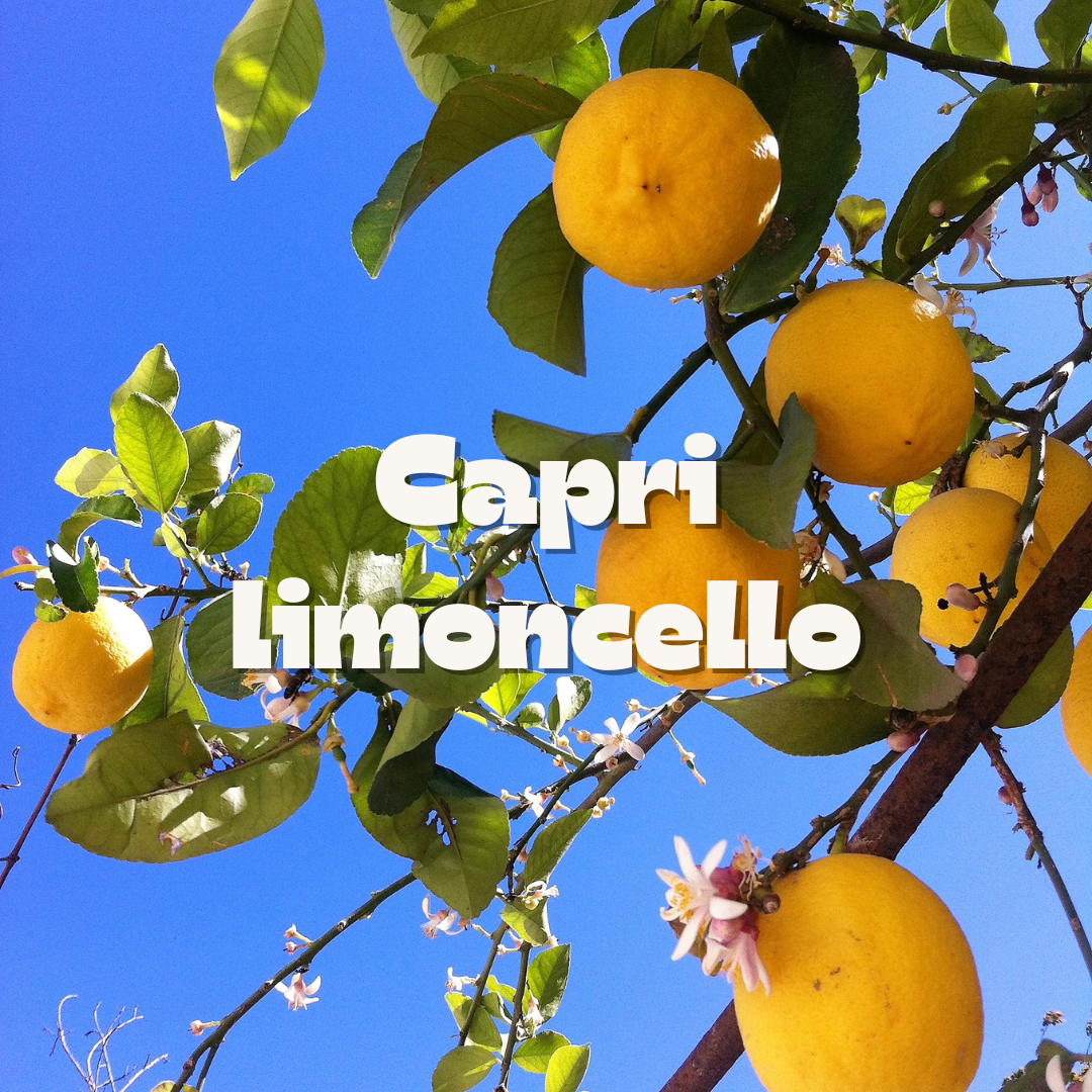 Capri Limoncello / 10oz candle