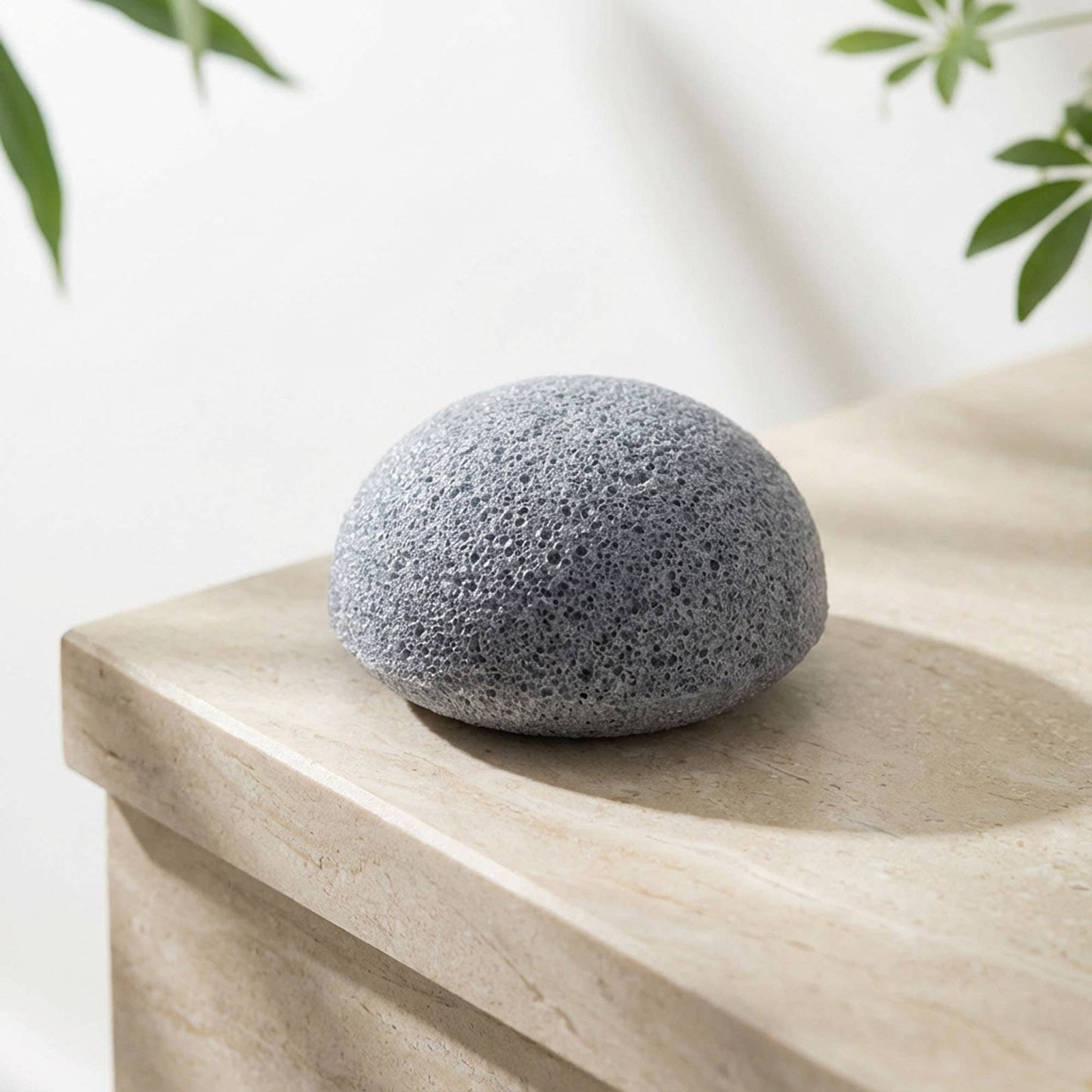 Natural Konjac Facial Cleansing Sponge | Charcoal