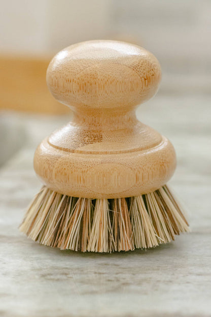 Pot Scrubber Brush