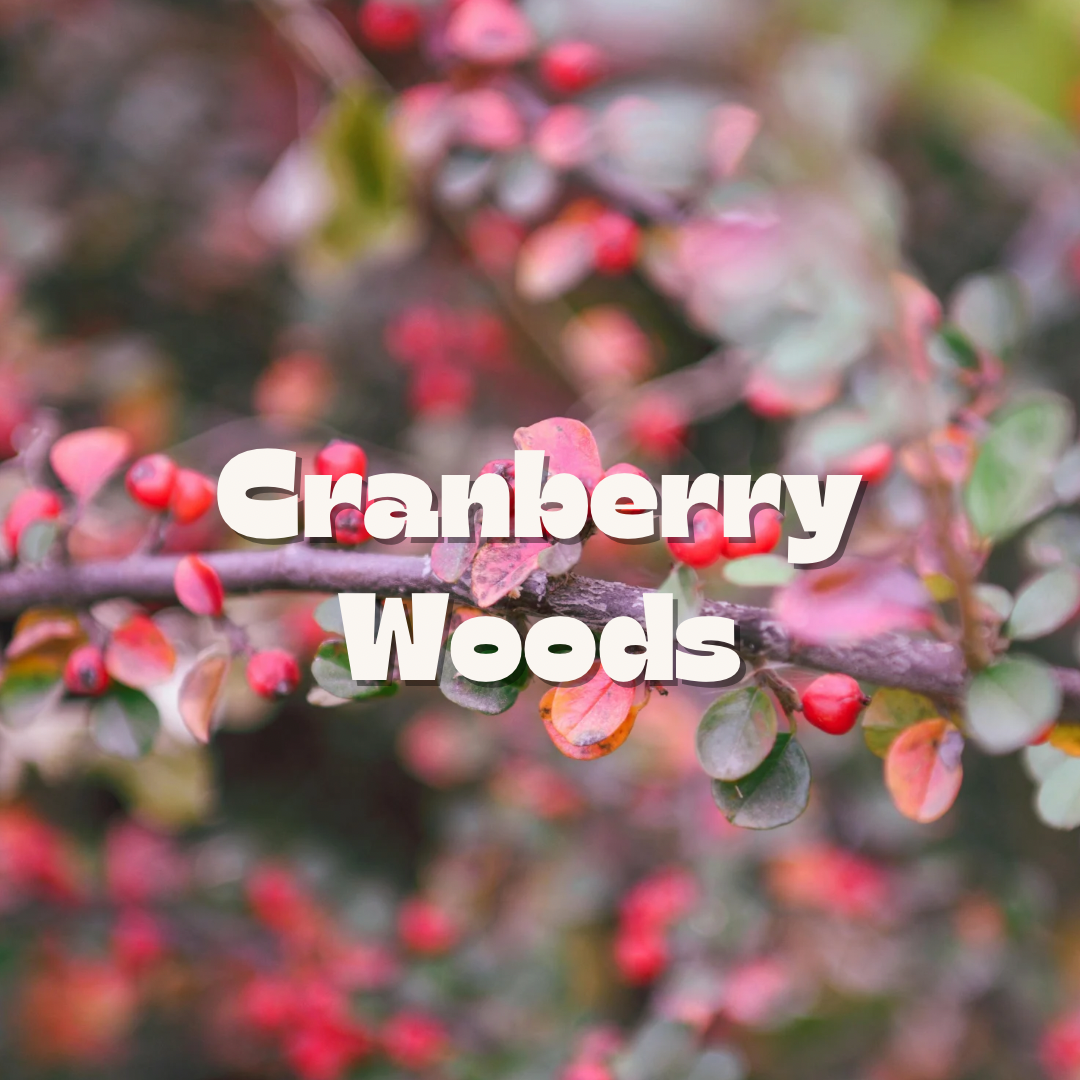 Cranberry Woods / 10oz candle