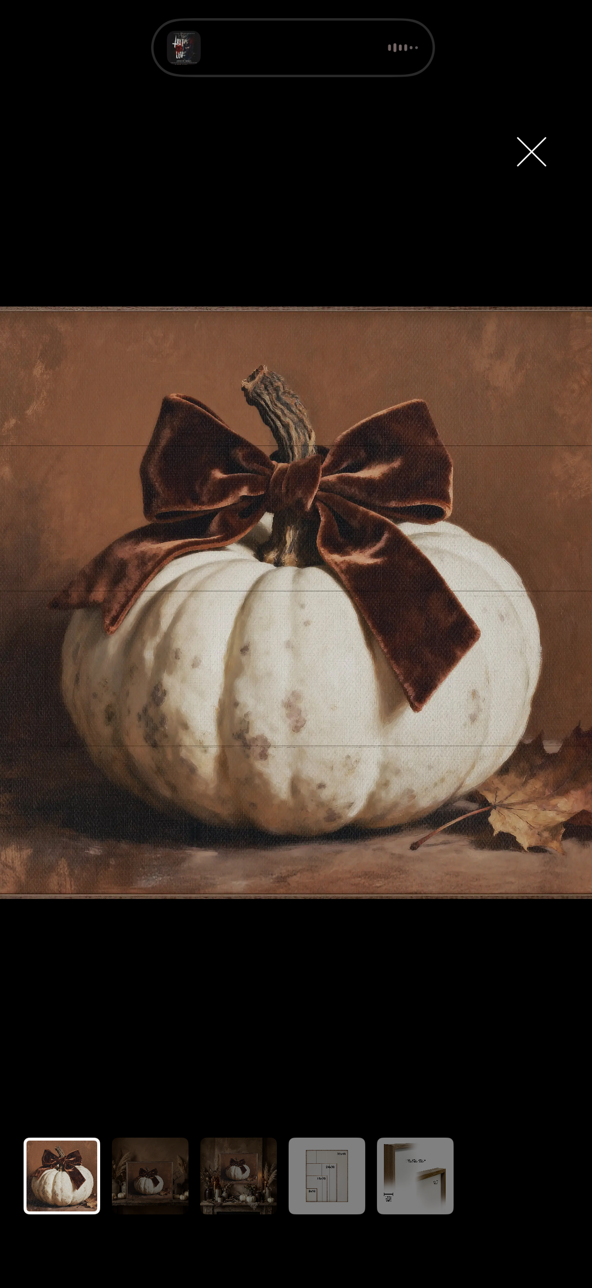 Brown velvet bow pumpkin