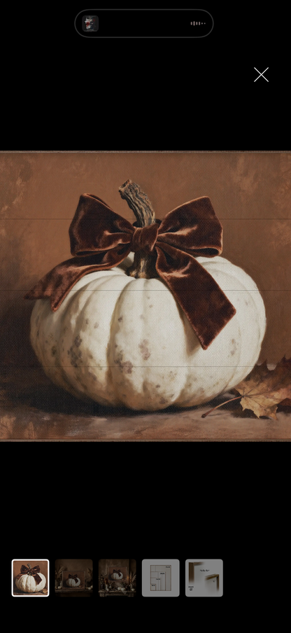 Brown velvet bow pumpkin