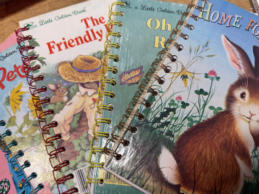 Vintage Book / Notebooks