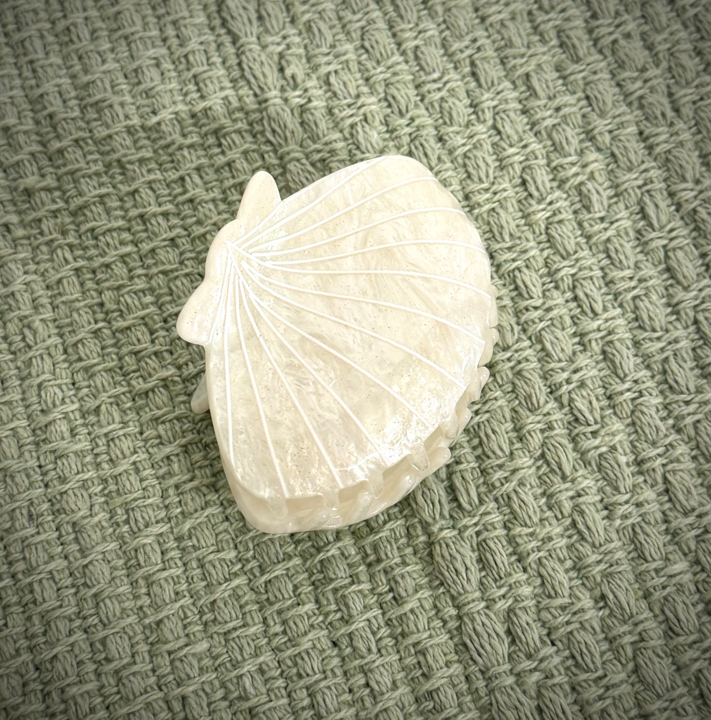Shell / Hair Clip