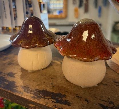 Ceramic Shrooms