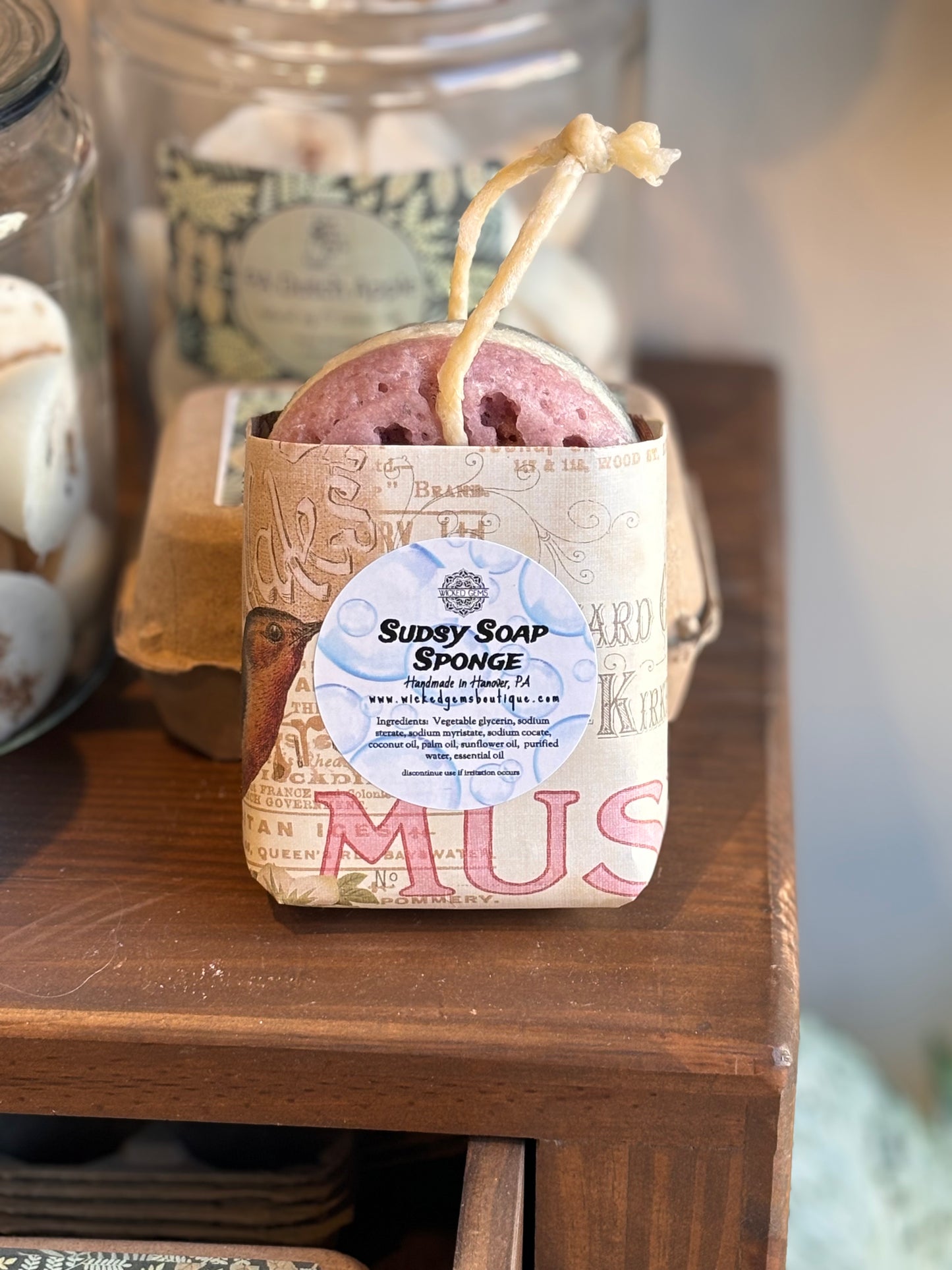 Sudsy Soap Sponge