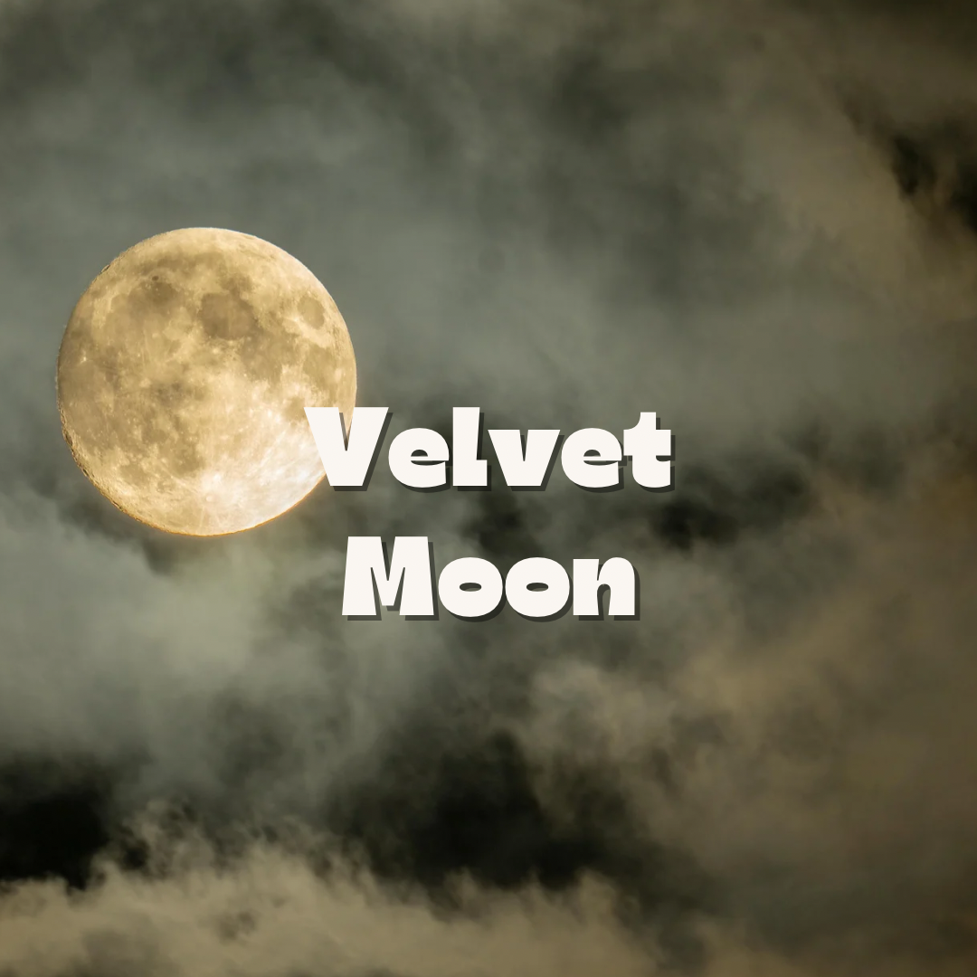 Velvet Moon / 10oz candle