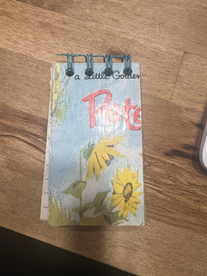 Vintage Golden Book Notebook