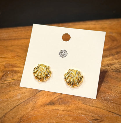 Shell / Stud