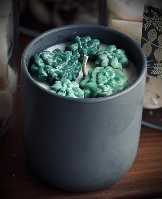 Succulent Candle / Lemongrass Blend