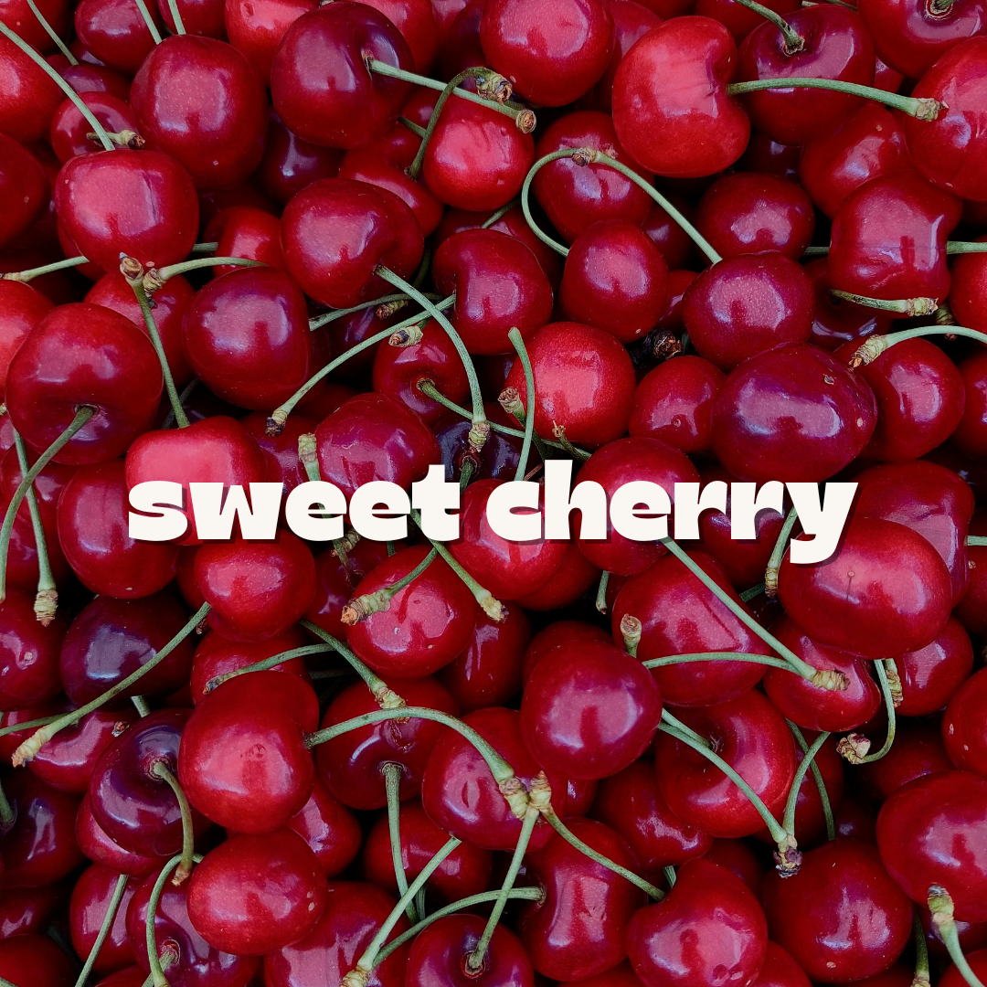 Sweet Cherry Mug