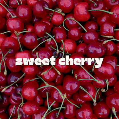 Sweet Cherry Mug