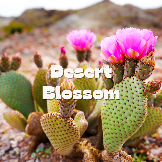 Desert Blossom / 10oz candle