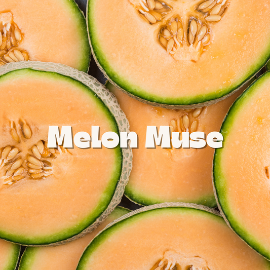 Melon Muse / 10oz candle