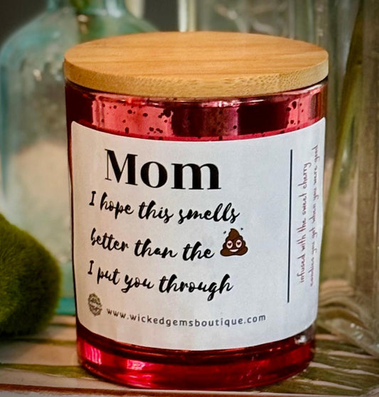 Sh!t I put you through / 10oz candle